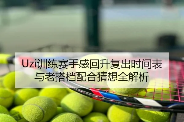 Uzi训练赛手感回升复出时间表与老搭档配合猜想全解析